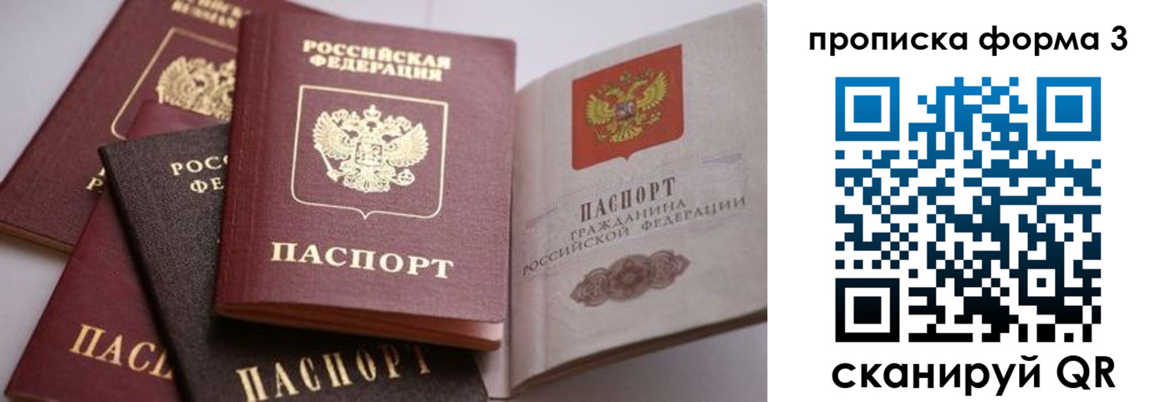 прописка для школы в Талице